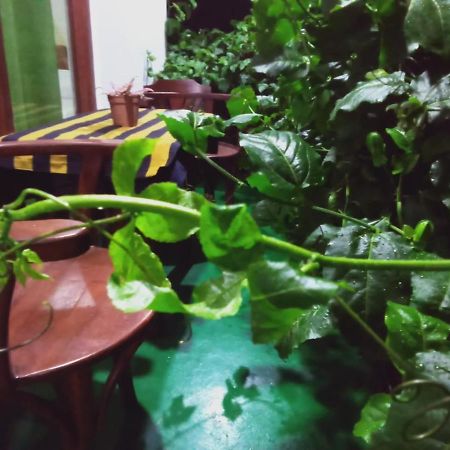 Elegant Home Stay Ella Ngoại thất bức ảnh