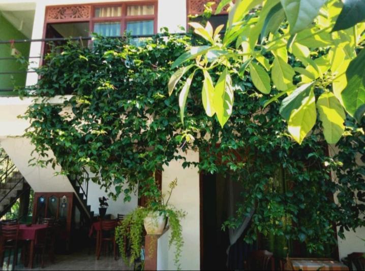 Elegant Home Stay Ella Ngoại thất bức ảnh