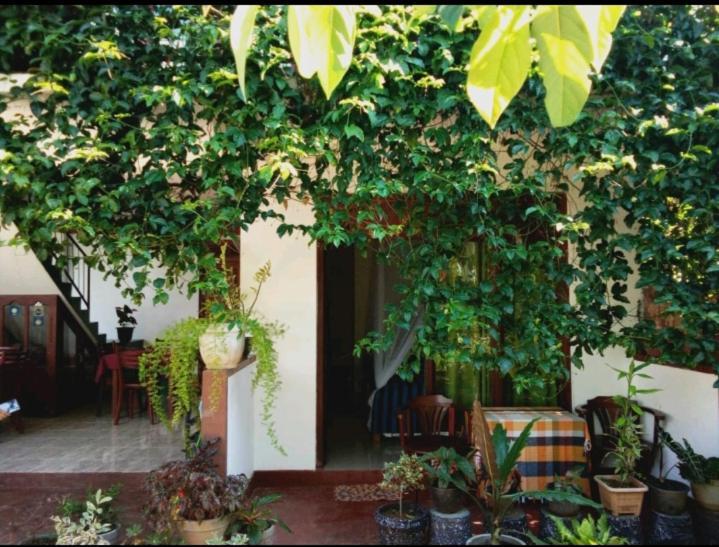 Elegant Home Stay Ella Ngoại thất bức ảnh