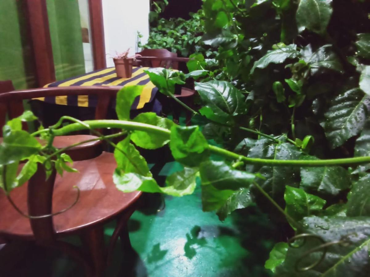 Elegant Home Stay Ella Ngoại thất bức ảnh